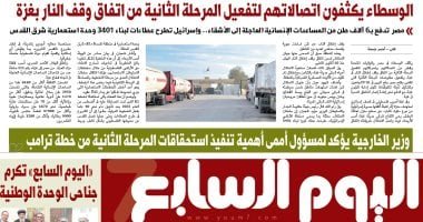 اليوم السابع: وزير الخارجية يؤكد لمسئول أممى أهمية تنفيذ المرحلة الثانية من خطة ترامب