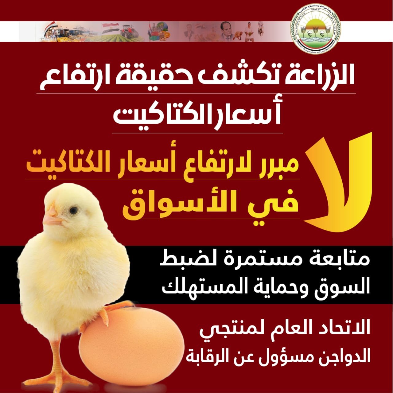 WhatsApp Image 2026-01-07 at 9.07.55 PM