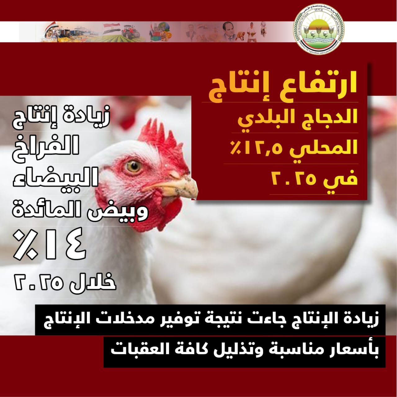 WhatsApp Image 2026-01-07 at 9.07.55 PM (1)