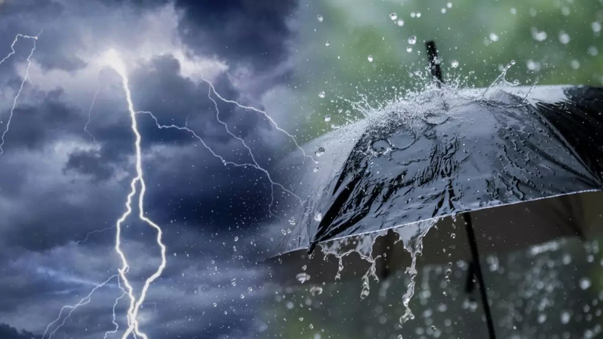 عاجل: خبيرة الأرصاد تحذر من "قطار البرد القطبي" - درجات الحرارة تنهار لـ5 درجات والرياح تصل 60 كم/س!