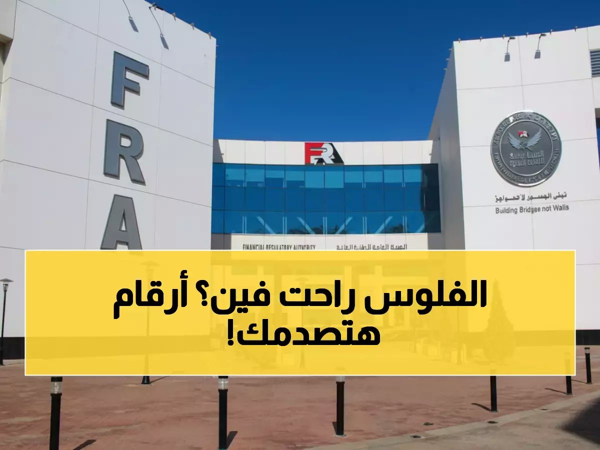  انفجار التأجير التمويلي في مصر بـ 140 مليار جنيه… نمو جنوني 58% يصدم الخبراء!