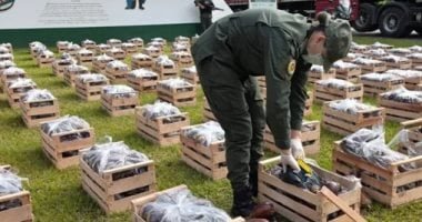كوكايين داخل الباذنجان.. كلب يكشف 31 كيلو مخدرات فى الأرجنتين