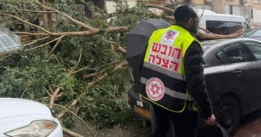 رياح قوية تقتلع الأشجار فى إسرائيل وأمطار غزيرة تغلق الشوارع.. فيديو