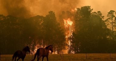 أستراليا تحترق.. حرائق كارثية ومفقودون بينهم طفل ودرجات حرارة تتجاوز الـ 40