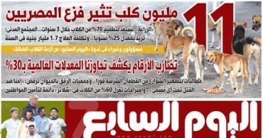 اليوم السابع: 11 مليون كلب تثير فزع المصريين
