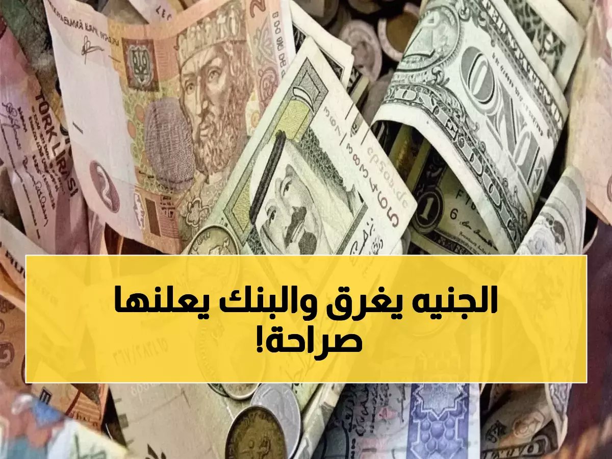 البنك الأهلي يحقق رقماً تاريخياً جديداً.. الدولار يسجل 47.33 جنيه لأول مرة رسمياً