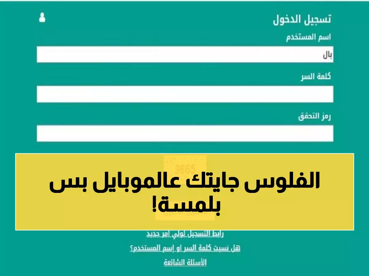  نور يفتح باب الاستعلام برقم الهوية فقط - ادخل الآن واحصل على النتائج خلال ثوانٍ!
