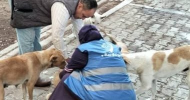 حصاد الوزارات.. وزارة الزراعة: حساب لتلقى التبرعات لتمويل استراتيجية الكلاب الضالة