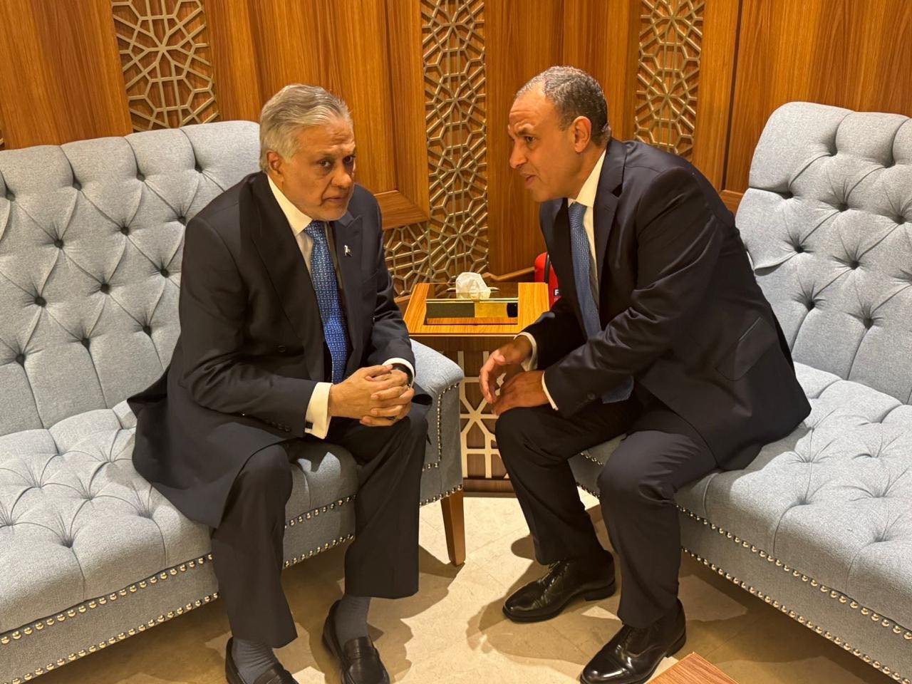 وزير الخارجية يؤكد لنظيره الباكستاني (1)