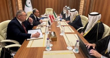 وزير الخارجية: وحدة الصومال ركيزة أساسية لاستقرار منطقة القرن الأفريقي