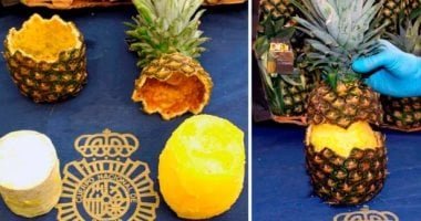 أناناس بالكوكايين.. إسبانيا تصادر طنين من المخدرات المخبأة بشحنة فواكه