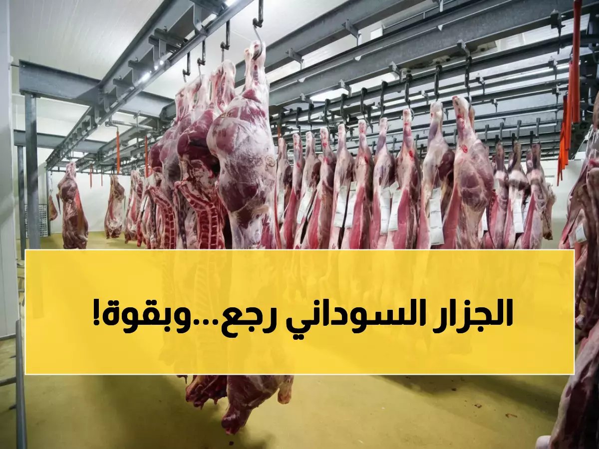  السودان يستعد لغزو 4 أسواق عربية باللحوم... عودة اقتصادية قوية بعد سنوات من التوقف!