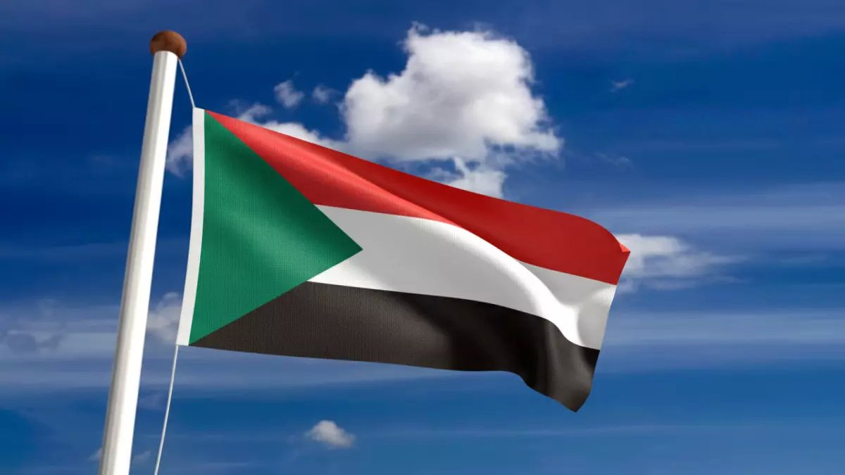 عاجل: السودان يطلق عملية "اللحوم الذهبية" لغزو 4 أسواق عربية عملاقة... هل ستنهار الأسعار؟