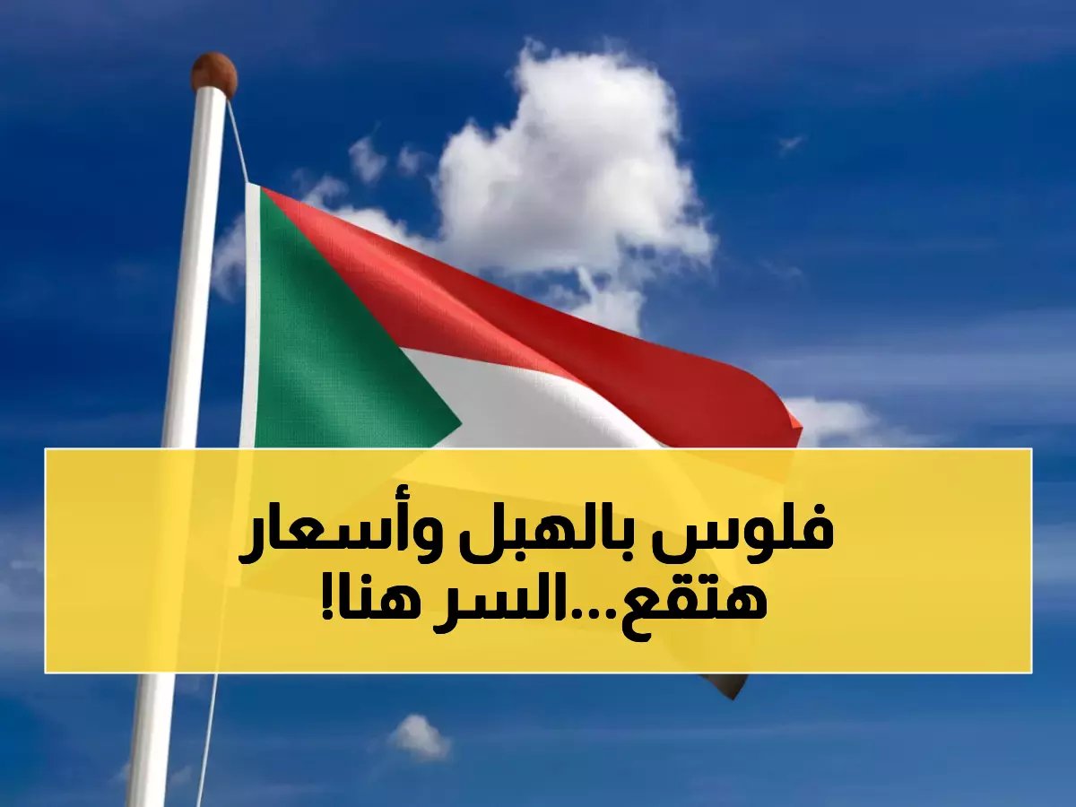  السودان يطلق عملية "اللحوم الذهبية" لغزو 4 أسواق عربية عملاقة... هل ستنهار الأسعار؟