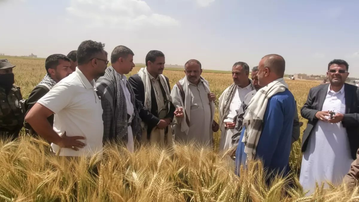 أول مرة في التاريخ.. ريمة تحقق المستحيل وتنتج 100% من احتياجاتها الغذائية محلياً