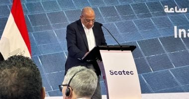 وزير الكهرباء: الشبكات الكهربائية جاهزة للربط المصرى - السعودى