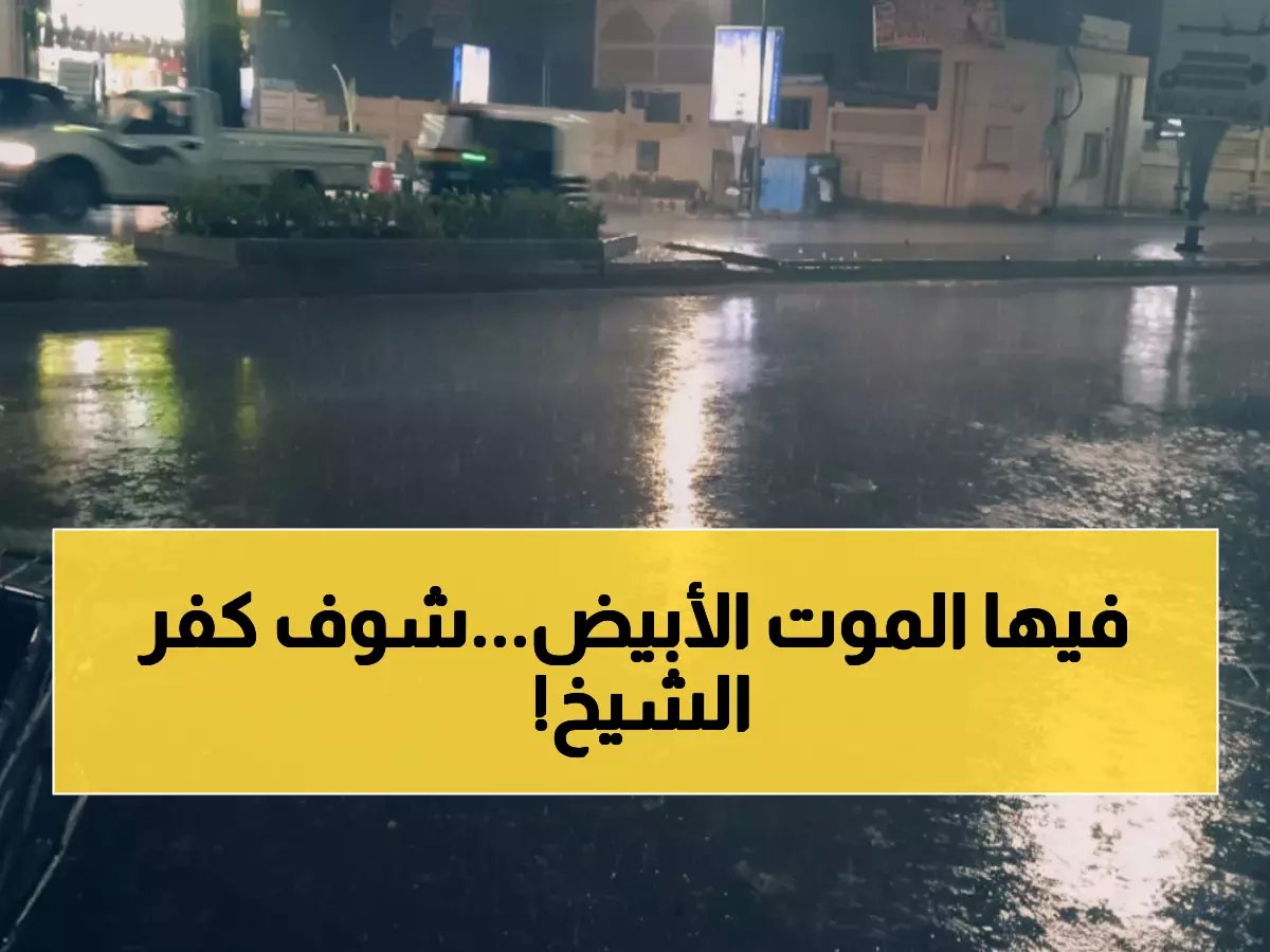  عاصفة جليدية تضرب كفر الشيخ... المحافظة تحت رحمة الطقس القاسي!