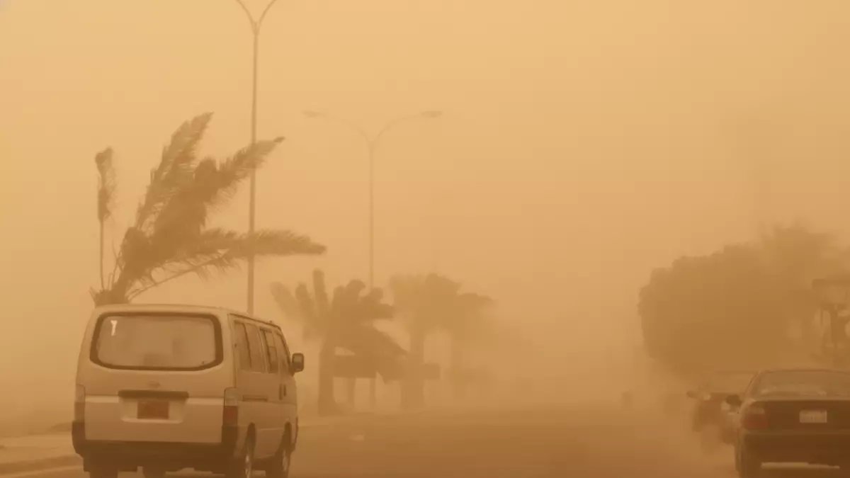 عاجل: أمطار غزيرة وشبورة كثيفة تهدد السائقين... هذه النصائح ستنقذ حياتك!