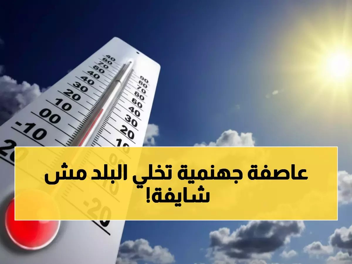  عاصفة ترابية تضرب مصر بسرعة 60 كم/س… الرؤية تنعدم والملاحة تتوقف!