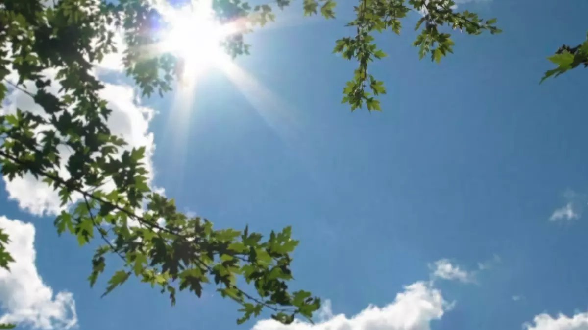 عاجل: خبيرة الأرصاد تكشف التوقيت المحدد لانتهاء العاصفة الترابية... والمفاجأة في السواحل!