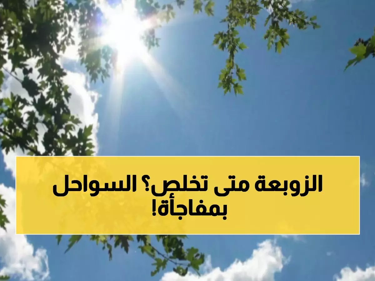  خبيرة الأرصاد تكشف التوقيت المحدد لانتهاء العاصفة الترابية... والمفاجأة في السواحل!