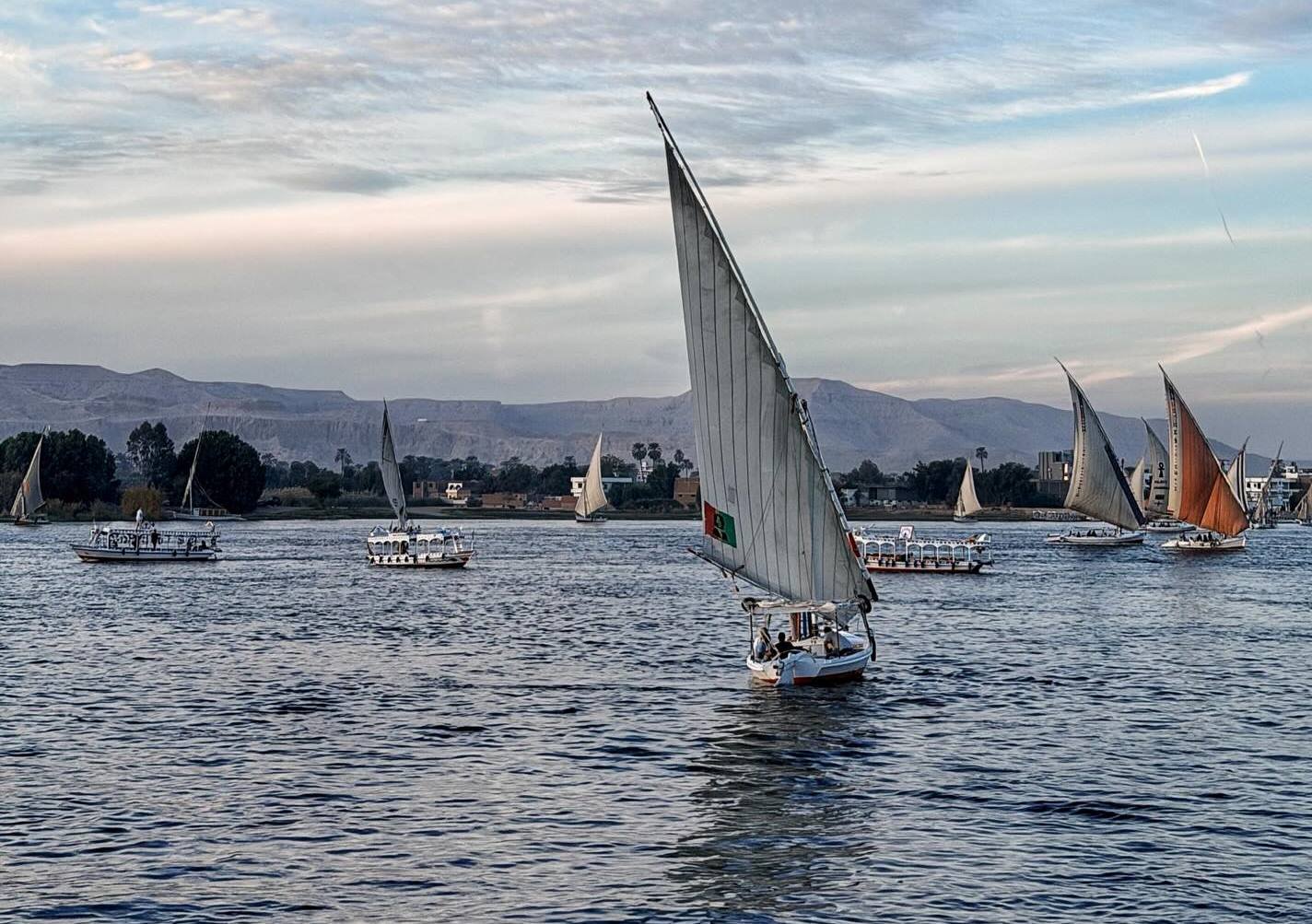 المراكب الشراعية تسحر قلوب السياح بالنيل