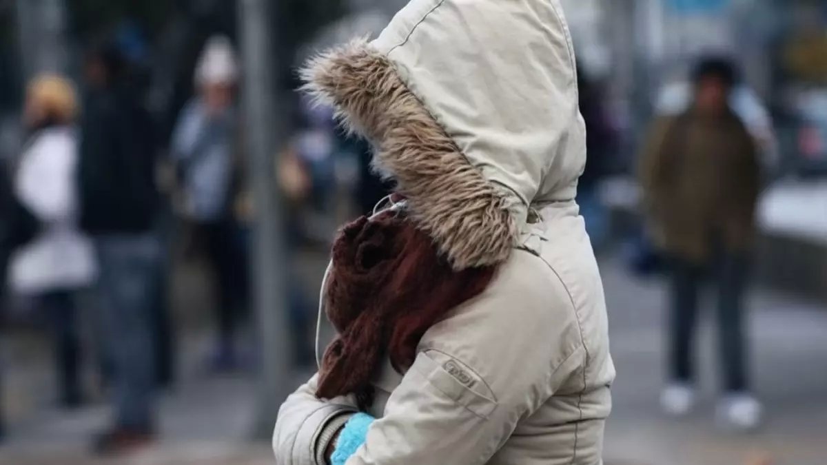 عاجل: موجة برد قطبية تجتاح مصر... الصقيع يهدد المحاصيل والحرارة تهبط لـ11 درجة!