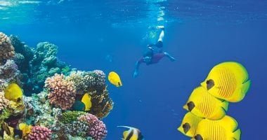 تضاهى المالديف وسيشل.. «ديلى ميل» تتغنى بمناخ مصر فى فبراير ومارس