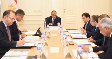 وزير الخارجية يترأس اجتماع مجلس إدارة مركز القاهرة الدولى لتسوية النزاعات