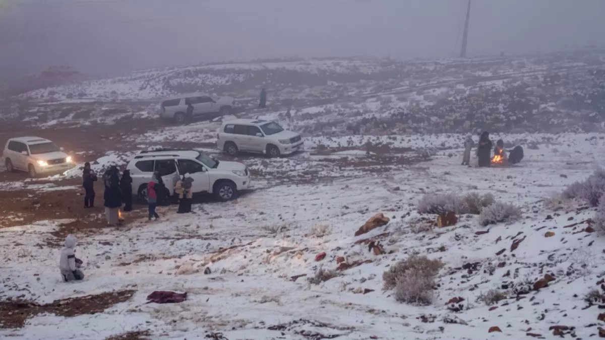 عاجل: موجة قطبية مدمرة تضرب طريف... -3 درجات تحت الصفر وضباب أعمى!