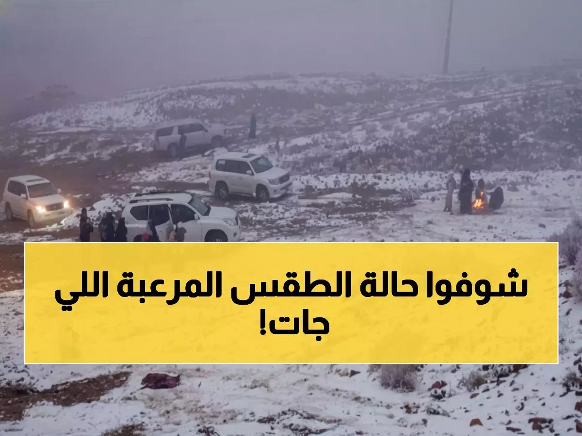  موجة قطبية مدمرة تضرب طريف... -3 درجات تحت الصفر وضباب أعمى!