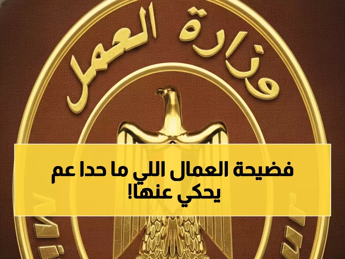  382 مخالفة صادمة في أسبوع واحد... هل تنتهك الشركات حقوق 32 ألف عامل؟