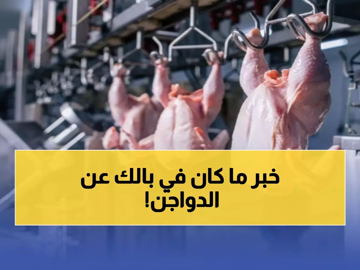  السعودية تحقق إنجازاً عالمياً في الدواجن… 90% تطبيق لـ"سعودي قاب" و1.2 مليون طن إنتاج!