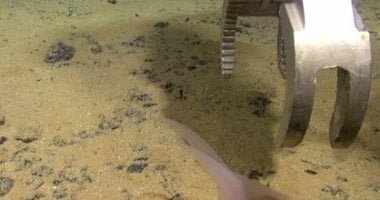 اليابان تحفر 6 آلاف متر فى قاع المحيط للبحث على المعادن النادرة