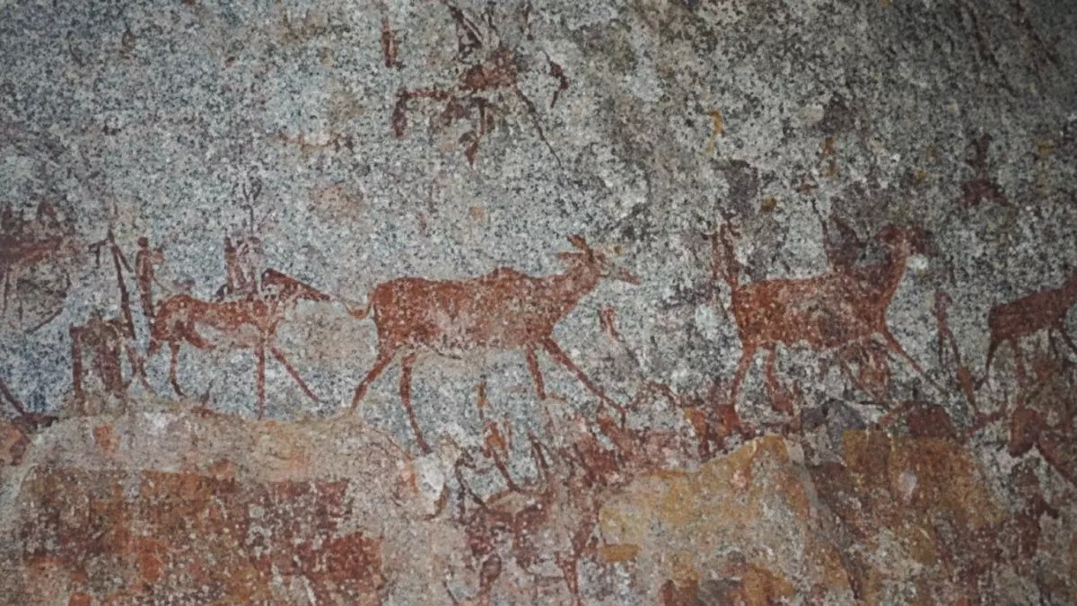 صادم: اكتشاف كنز أثري عمره 5000 عام في جبال عسير… النقوش تكشف أسرار حضارة مفقودة!