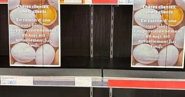 أزمة البيض تهدد الكرواسون.. الغلاء يضغط على موائد الفرنسيين