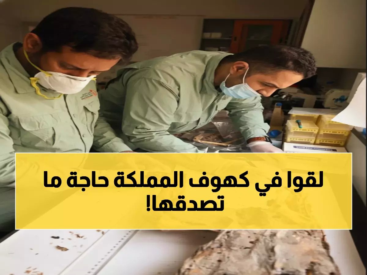  اكتشاف صادم في كهوف السعودية... فهود محنطة عمرها 4800 سنة تكشف سراً مدفوناً!