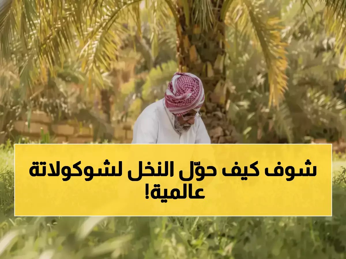 من بين 23 مليون شجرة نخيل.. كيف حوّل فراس الجابر عبقري الجوف التمر إلى شوكولاتة برائحة الياسمين؟