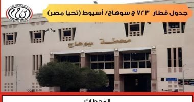 لخدمة ركاب الصعيد.. السكة الحديد تمد مسير قطار الإسكندرية ليصل إلى سوهاج