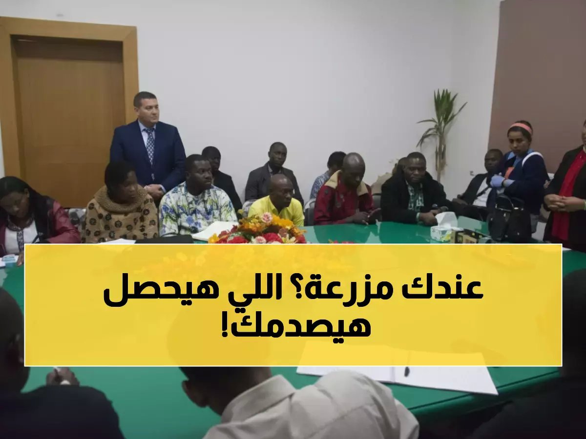  مصر تحقق طفرة علمية مذهلة... 179 بحثاً يكشف أسرار إنقاذ المحاصيل من الأمراض المدمرة!