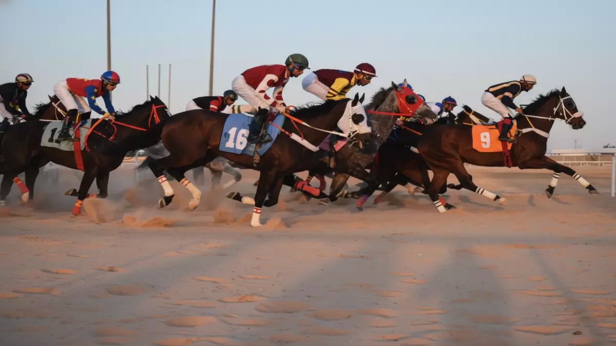 عاجل: حدث تاريخي في الأحساء… 9 أبطال يتوجون في ملحمة الفروسية الـ12 - النتائج الكاملة التي أذهلت الجماهير!