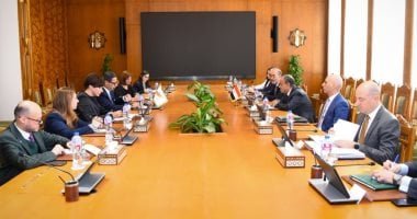 مشاورات سياسية بين مصر وقبرص لدعم العلاقات الثنائية وبحث التطورات الإقليمية