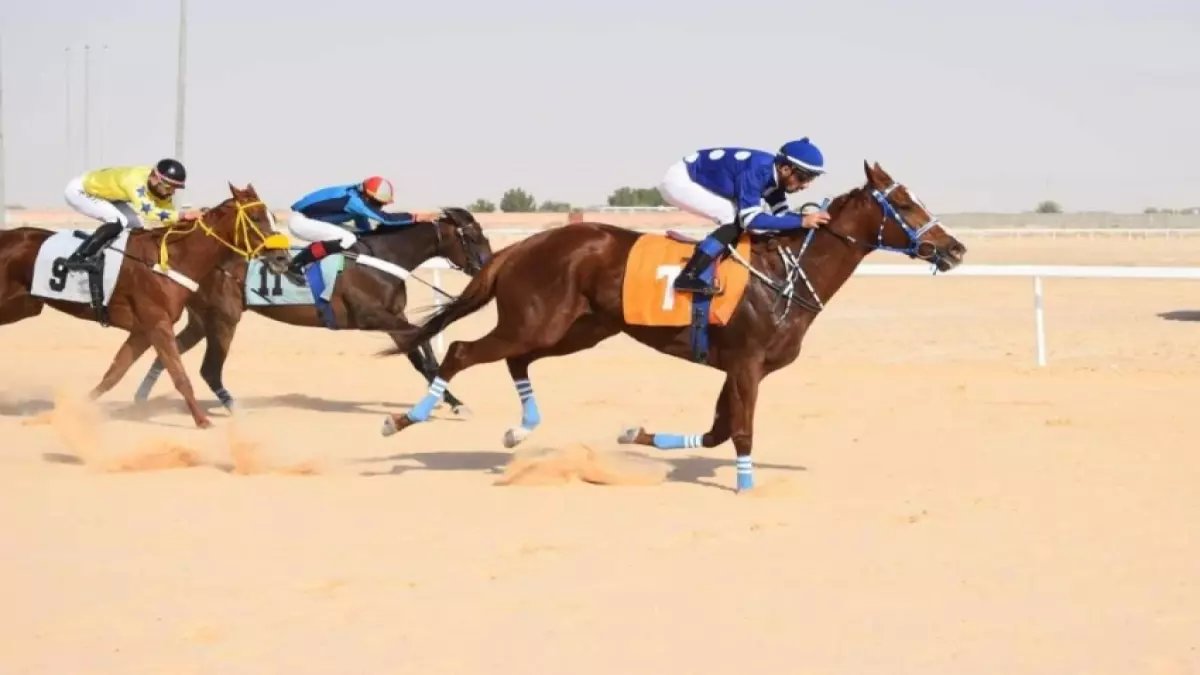 عاجل: خيال واحد يسيطر على فروسية الأحساء ويحصد لقبين في يوم واحد - النتائج الكاملة!