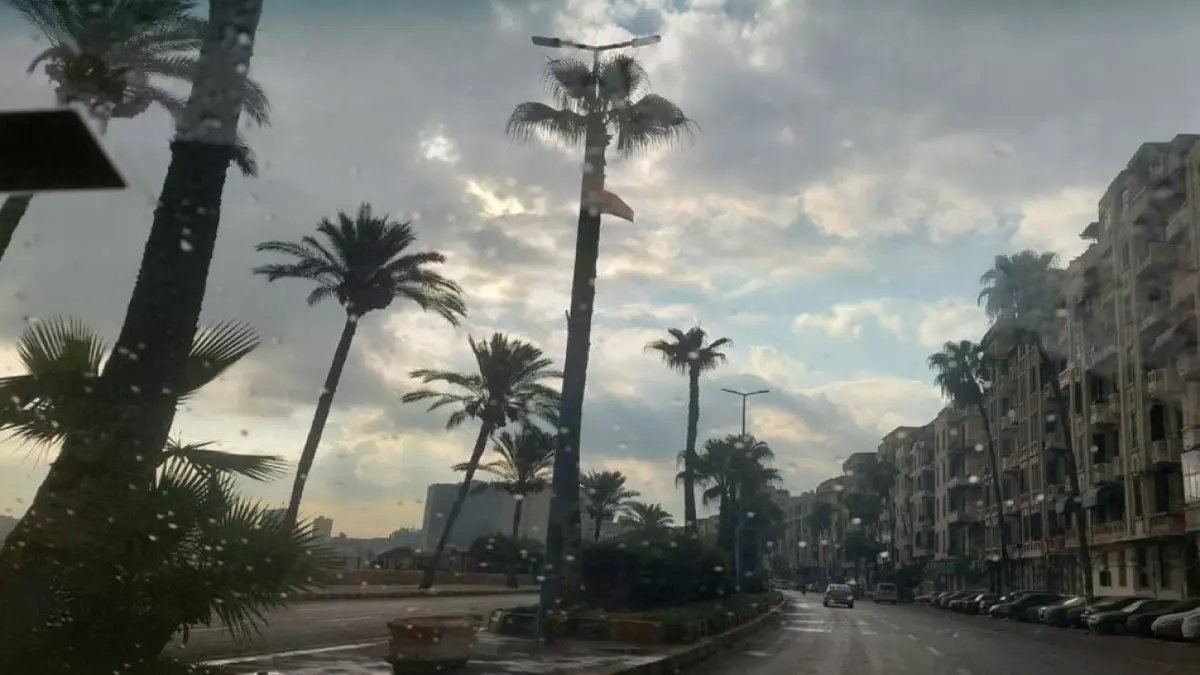 تحذير عاجل: الأرصاد تكشف طقس صادم اليوم... شبورة كثيفة وصقيع يهدد المزروعات!