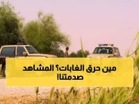  ضبط 34 متهماً في جرائم بيئية صادمة... مواطنون يحرقون المحميات الملكية!