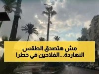  الأرصاد تكشف طقس صادم اليوم... شبورة كثيفة وصقيع يهدد المزروعات!