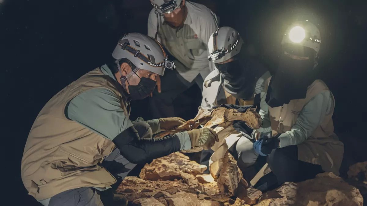 عاجل: اكتشاف صادم في كهوف السعودية... 7 فهود محنطة منذ 4800 عام تحمل سر إعادة الحياة!