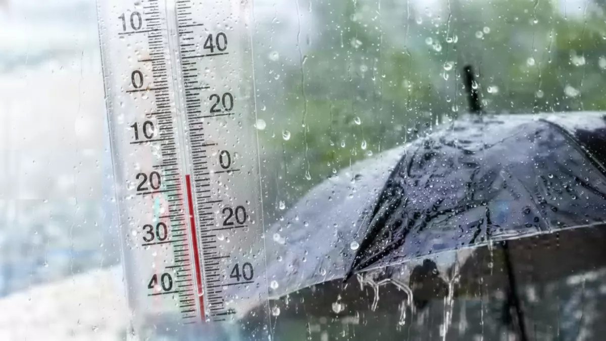 عاجل: شبورة كثيفة تشل الحركة غداً من 2 فجراً... والأرصاد تحذر من صقيع يدمر المحاصيل!