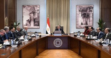 مجلس الوزراء: تنفيذ أعمال المرحلة الثانية من حياة كريمة فى 1667 قرية بـ20 محافظة