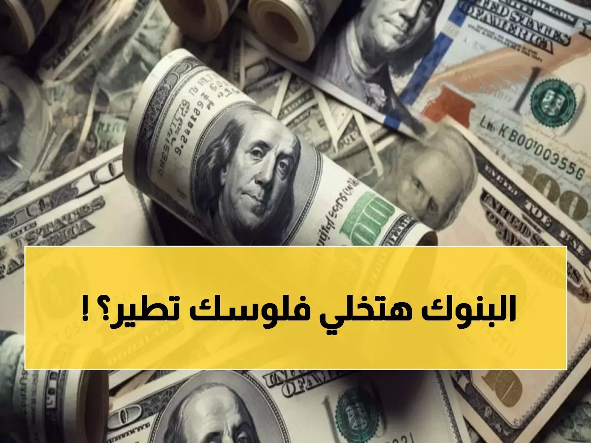  الدولار يقفز لـ 47.24 جنيه في البنوك المصرية - هل تشتري الآن أم تنتظر؟